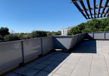 location Appartement Castelnau Le Lez