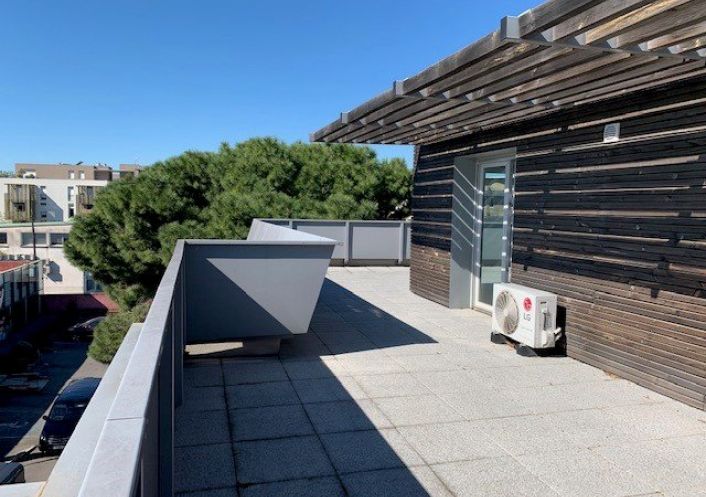 location Appartement Castelnau Le Lez