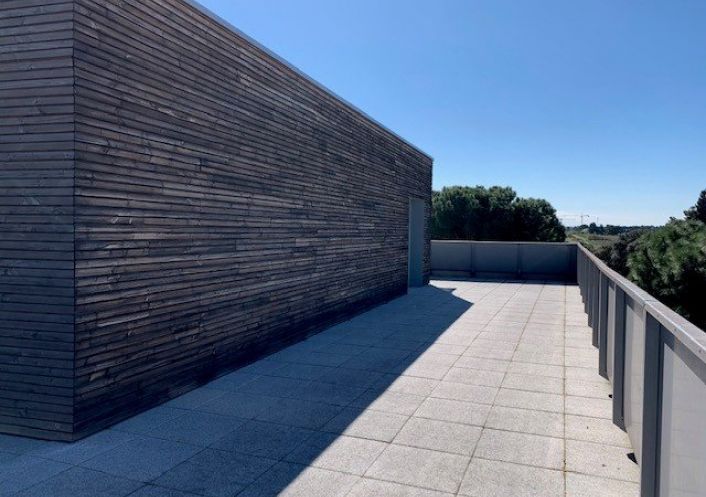 location Appartement Castelnau Le Lez