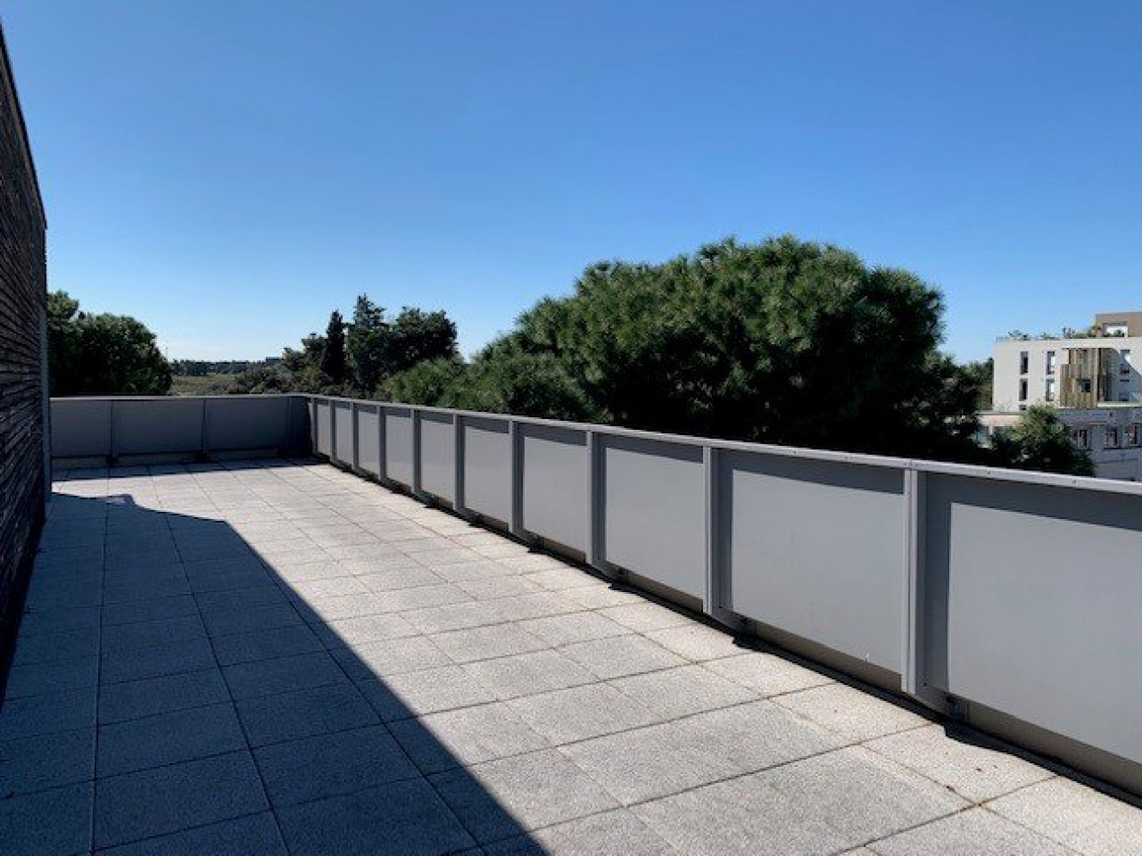 location Appartement Castelnau Le Lez - Photo 10