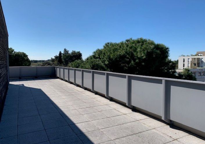 location Appartement Castelnau Le Lez