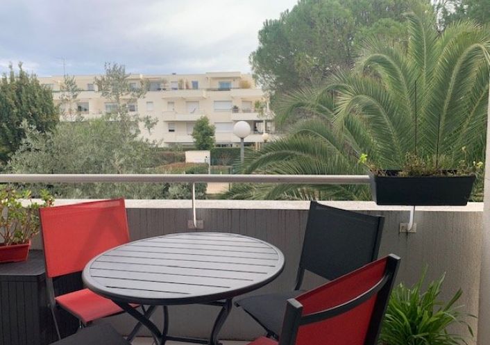 location Appartement Montpellier