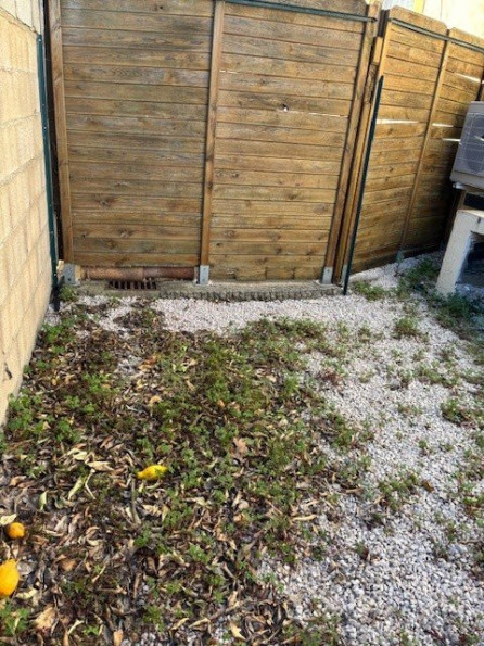 location Appartement Candillargues - Photo 9