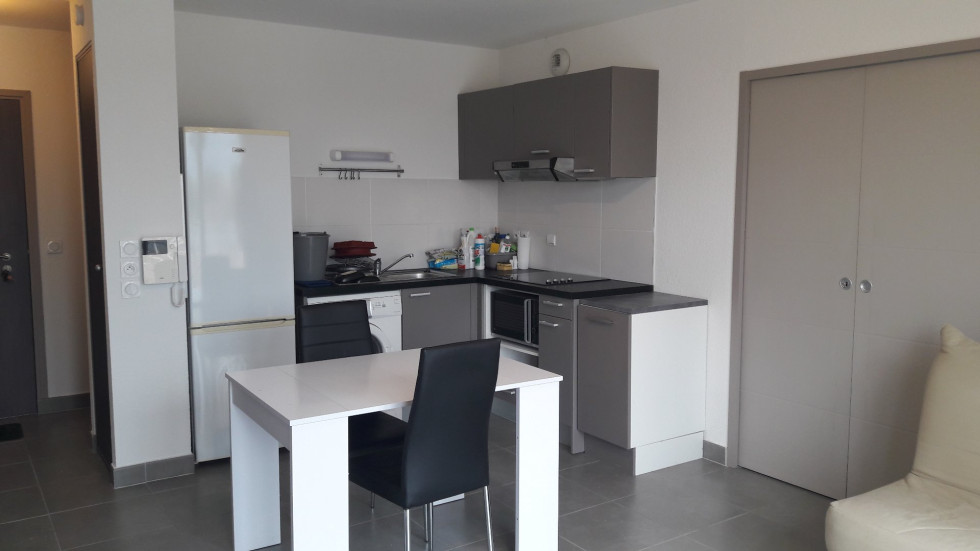 location Appartement Montpellier - Photo 10