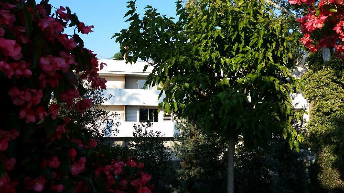 location Appartement Castelnau Le Lez - Photo 1