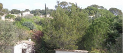 location Appartement Montpellier