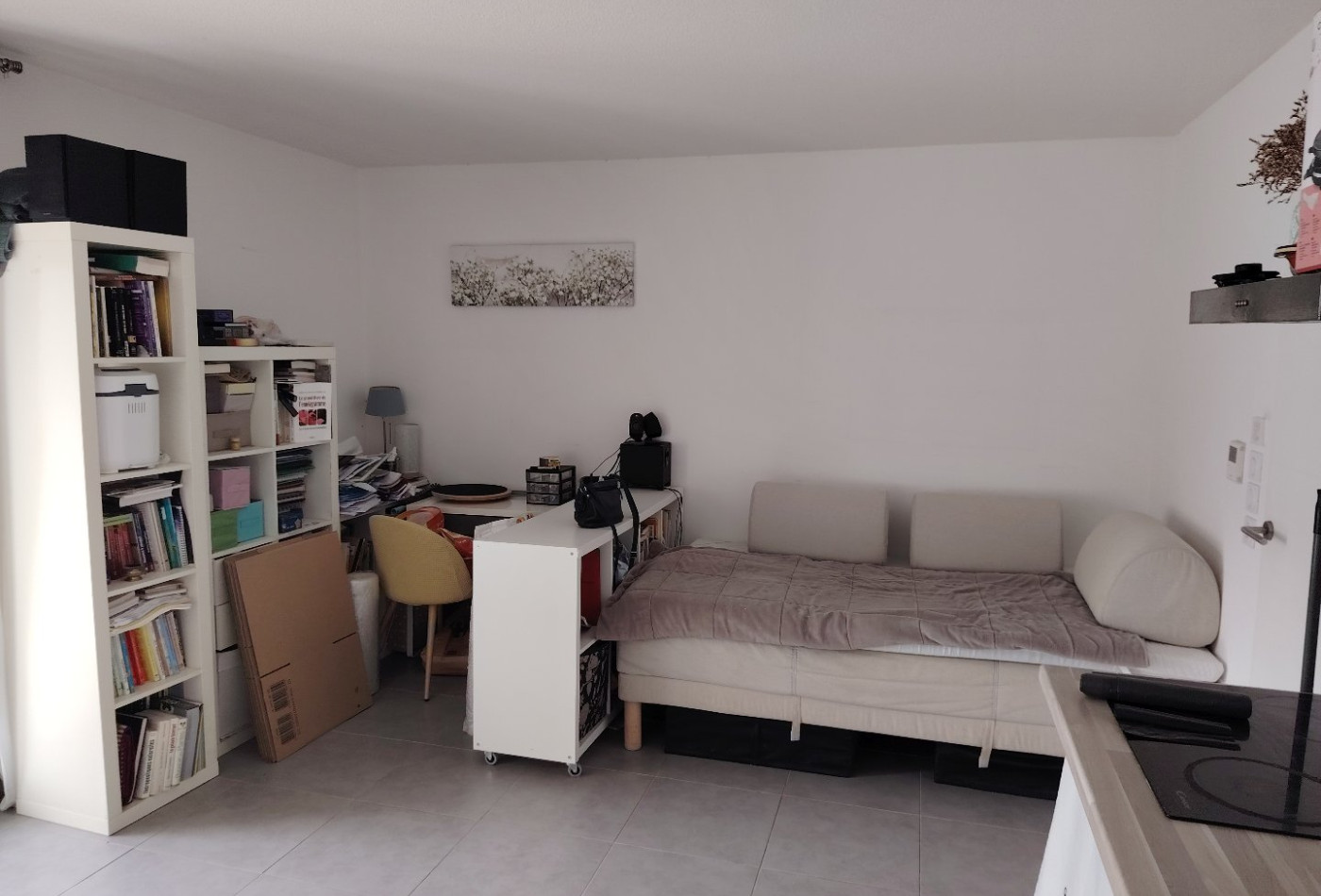 location Appartement Castelnau Le Lez - Photo 3