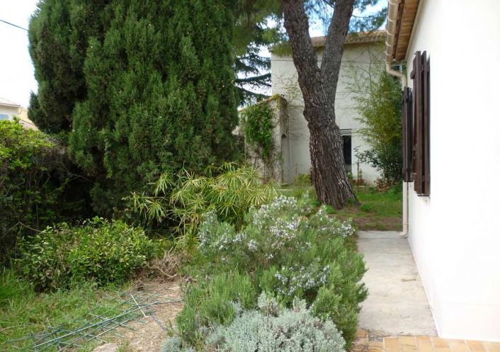location Maison Castelnau Le Lez