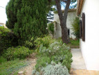 location Maison Castelnau Le Lez