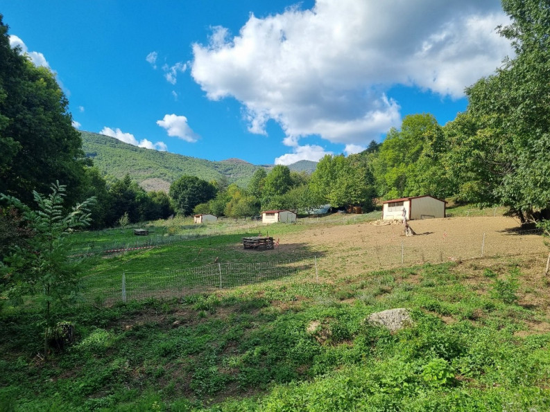 vente Propriété agricole Le Vigan - Photo 9
