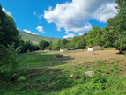 vente Propriété agricole Le Vigan