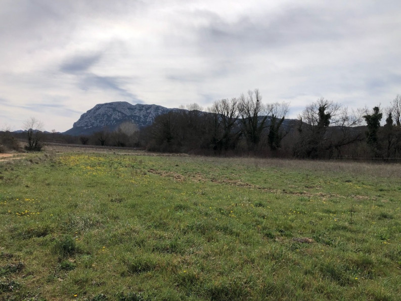 vente Terrain agricole Mas De Londres - Photo 8