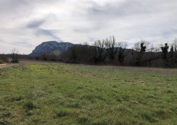 vente Terrain agricole Mas De Londres