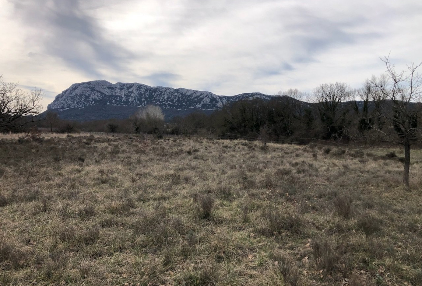 vente Terrain agricole Mas De Londres - Photo 10