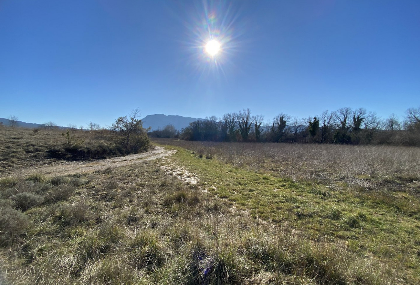 vente Terrain agricole Mas De Londres - Photo 1