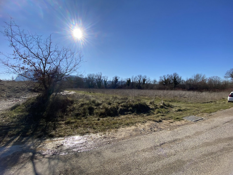 vente Terrain agricole Mas De Londres - Photo 7