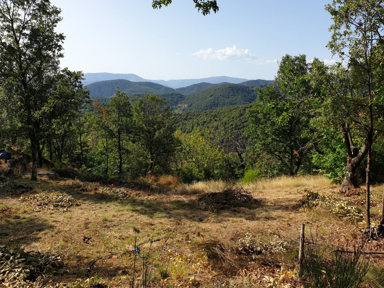 vente Chalet Saint Roman De Codieres - Photo 5