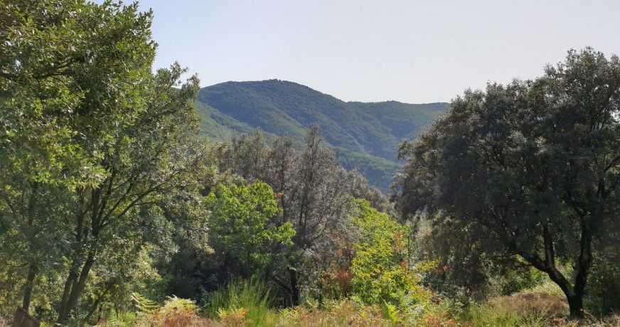 vente Chalet Saint Roman De Codieres