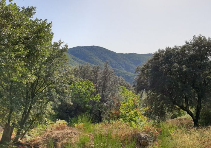 sale Chalet Saint Roman De Codieres