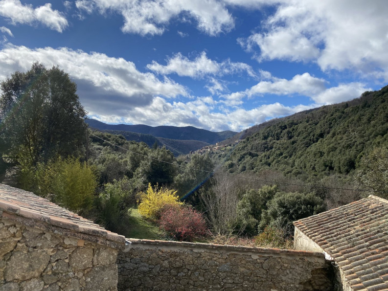 vente Mas Saint Martial - Photo 4