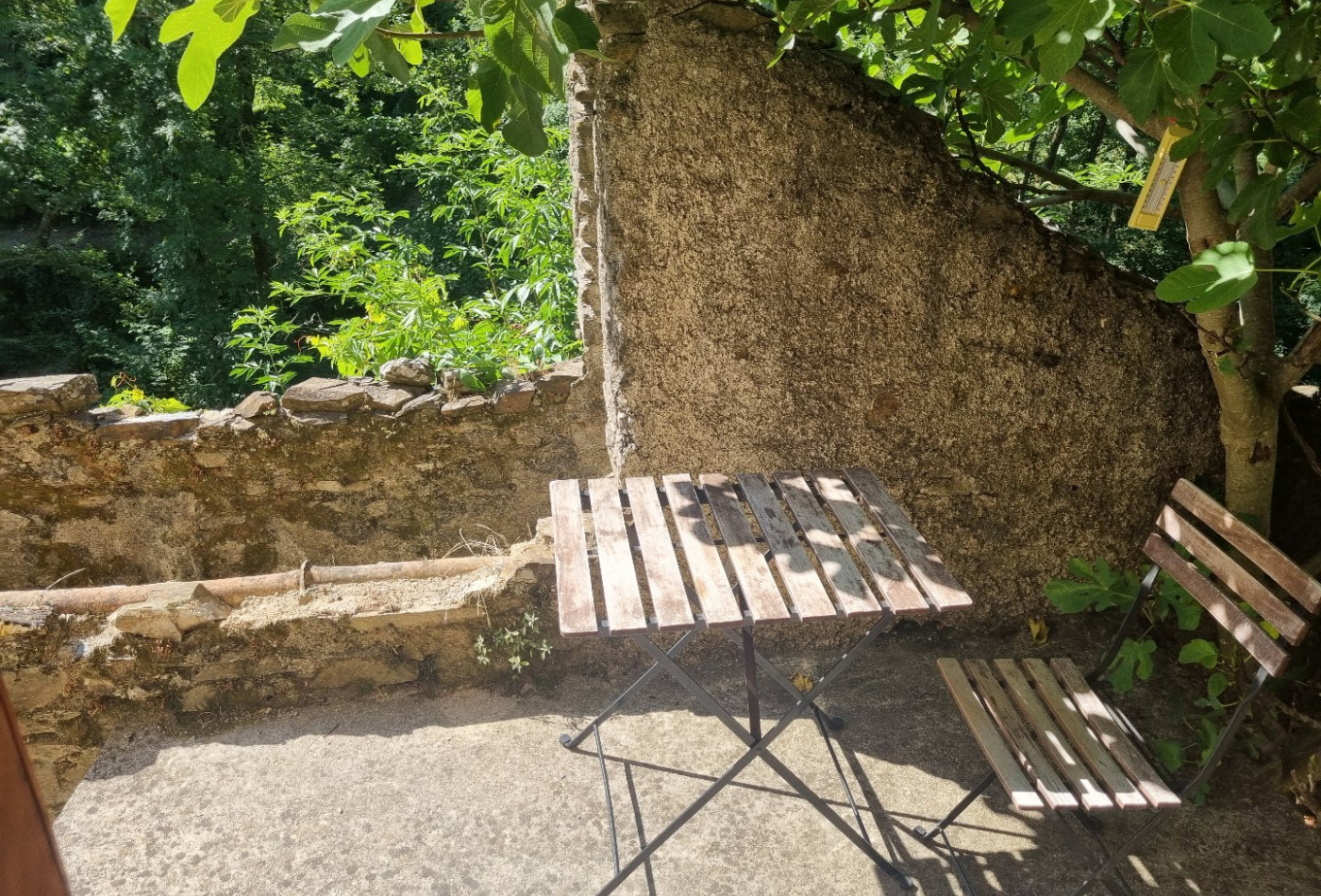 vente Propriété Saint Roman De Codieres - Photo 6