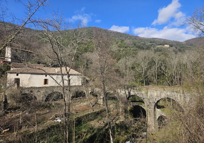 sale Propriété Saint Roman De Codieres