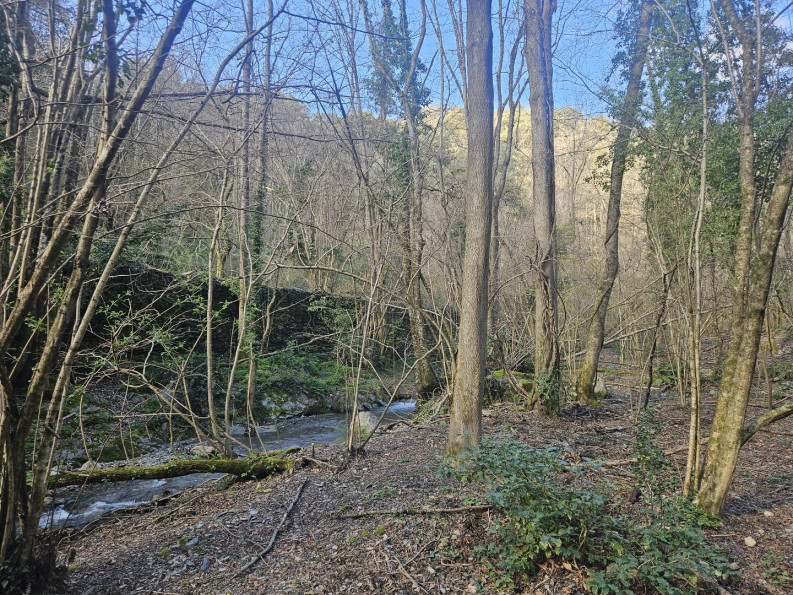 vente Propriété Saint Roman De Codieres - Photo 9