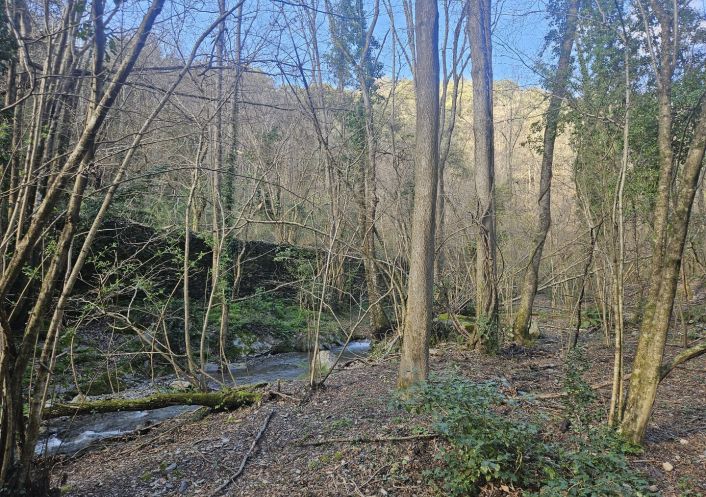 sale Propriété Saint Roman De Codieres