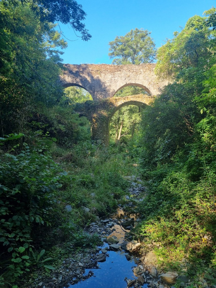 sale Propriété Saint Roman De Codieres - Photo 10
