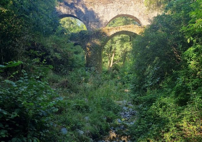 sale Propriété Saint Roman De Codieres