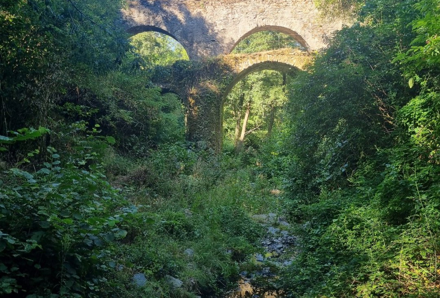 vente Propriété Saint Roman De Codieres - Photo 10