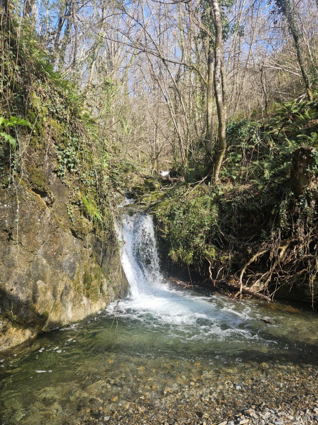 vente Propriété Saint Roman De Codieres - Photo 8