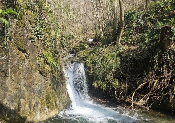 sale Propriété Saint Roman De Codieres
