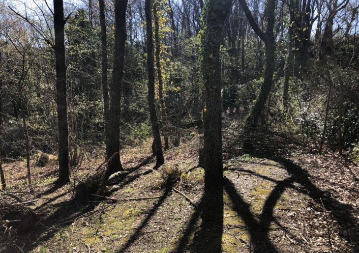 vente Terrain constructible Le Vigan