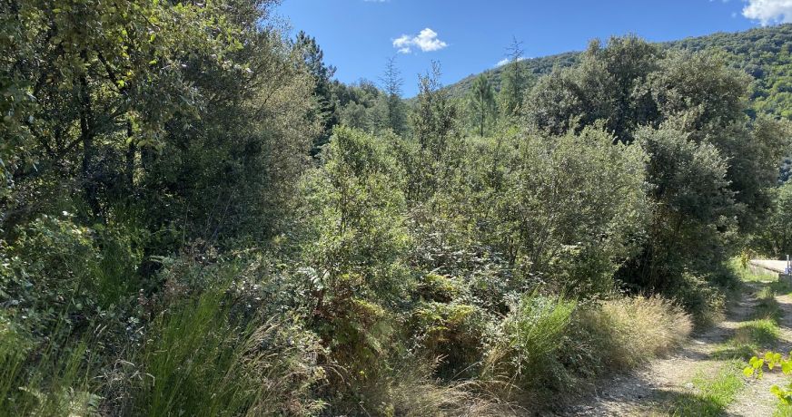 vente Terrain de loisir Saint Andre De Majencoules