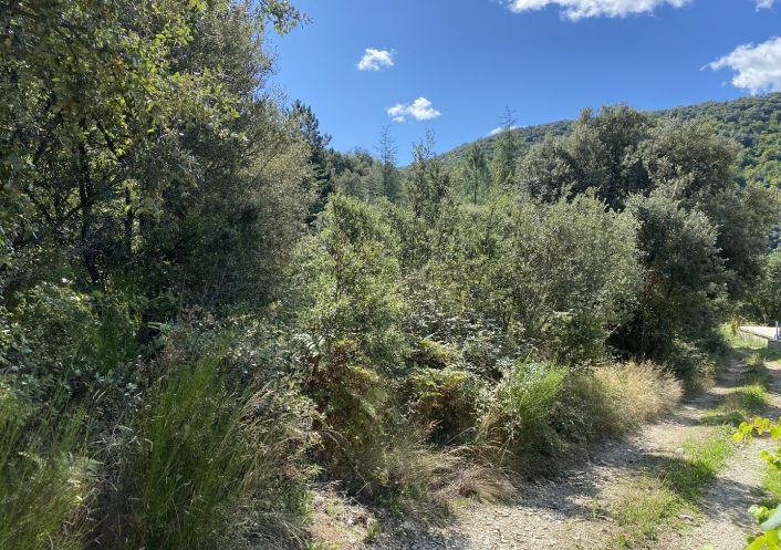 vente Terrain de loisir Saint Andre De Majencoules