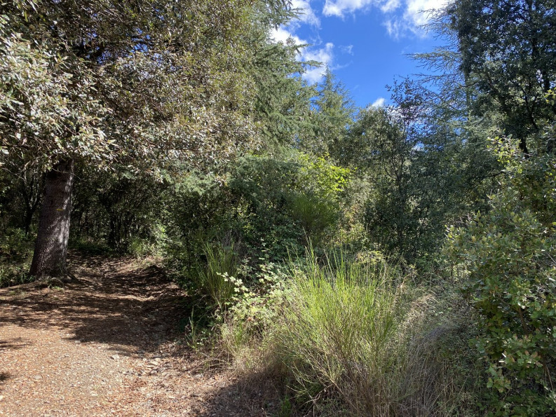 vente Terrain de loisir Saint Andre De Majencoules - Photo 8