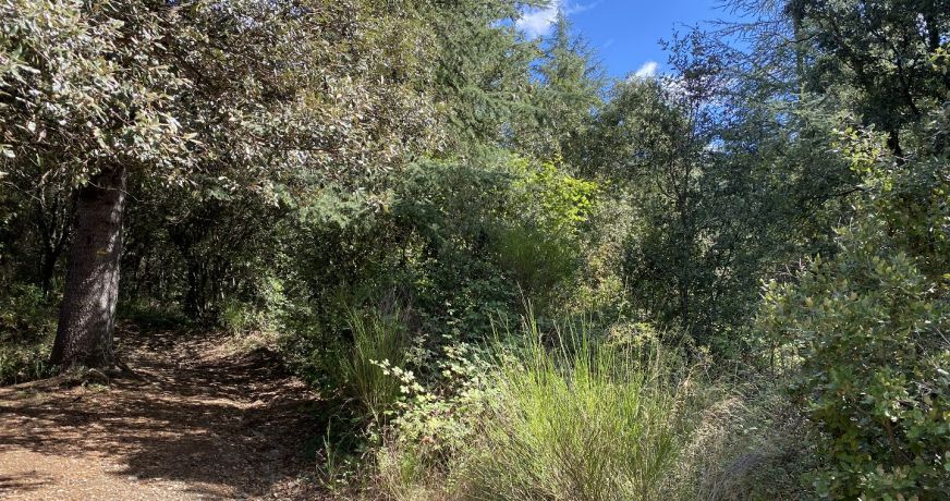 vente Terrain de loisir Saint Andre De Majencoules