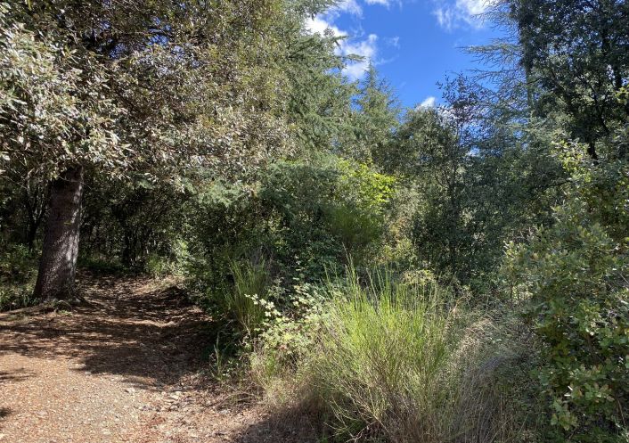 vente Terrain de loisir Saint Andre De Majencoules