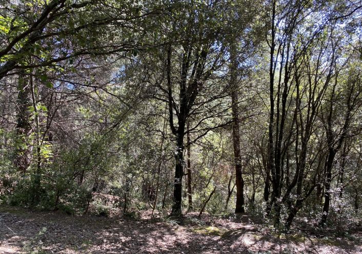 vente Terrain de loisir Saint Andre De Majencoules