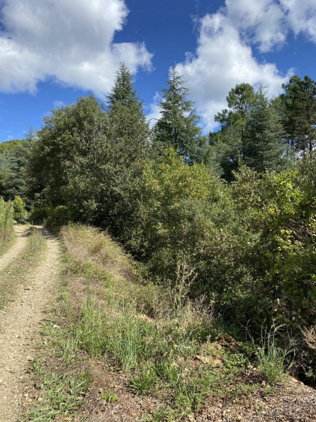 vente Terrain de loisir Saint Andre De Majencoules - Photo 9