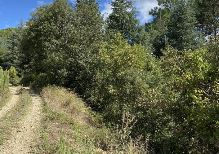 vente Terrain de loisir Saint Andre De Majencoules