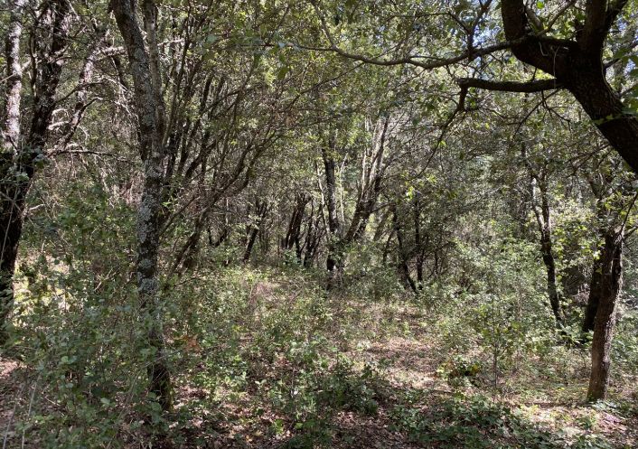 vente Terrain de loisir Saint Andre De Majencoules
