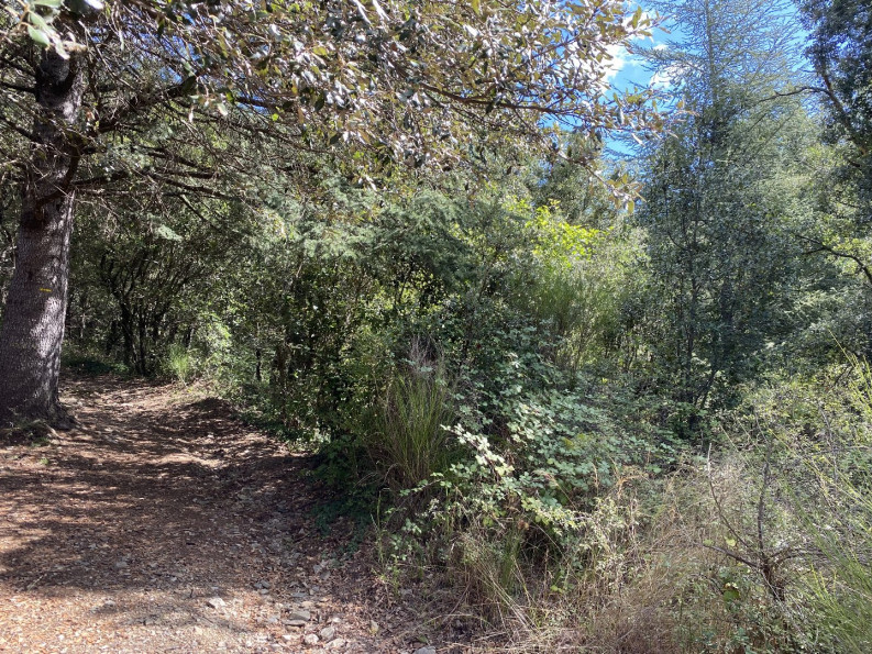 vente Terrain de loisir Saint Andre De Majencoules - Photo 3