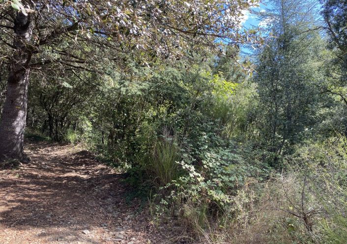 vente Terrain de loisir Saint Andre De Majencoules