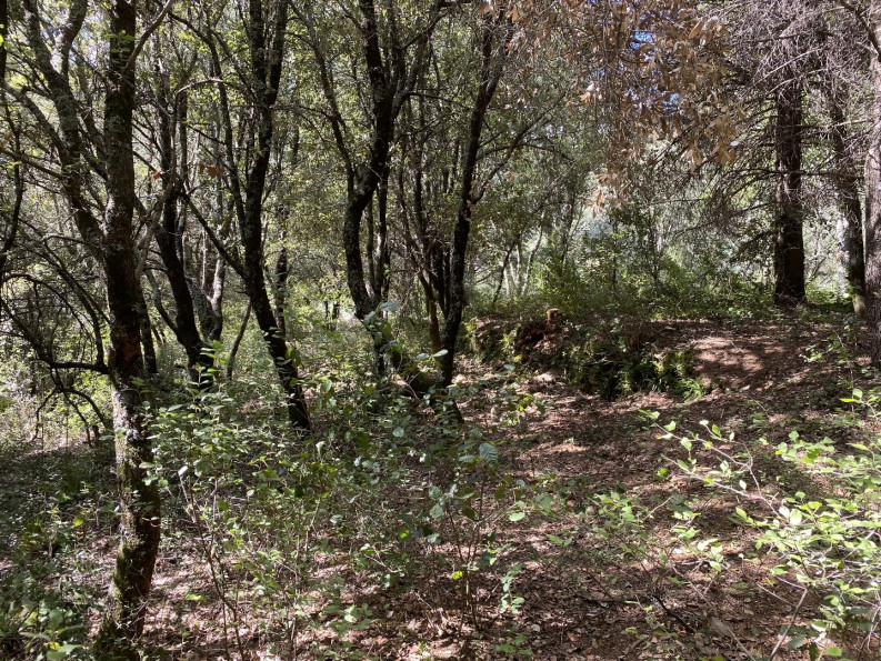 vente Terrain de loisir Saint Andre De Majencoules - Photo 4