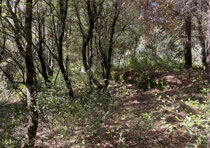 vente Terrain de loisir Saint Andre De Majencoules