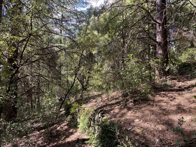 vente Terrain de loisir Saint Andre De Majencoules - Photo 5