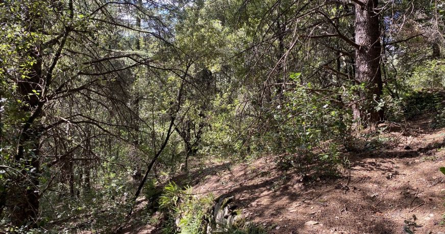 vente Terrain de loisir Saint Andre De Majencoules