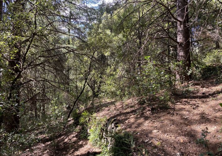vente Terrain de loisir Saint Andre De Majencoules